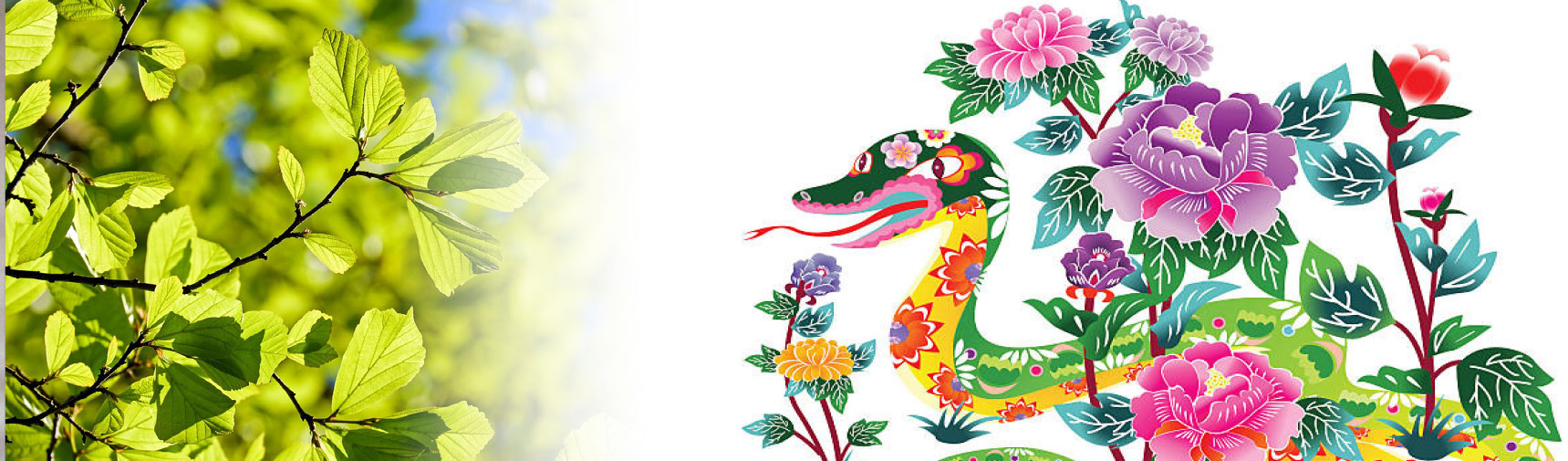 Stage de Qi Gong – Les animaux du WuDang (Le dragon, le serpent et la tortue)